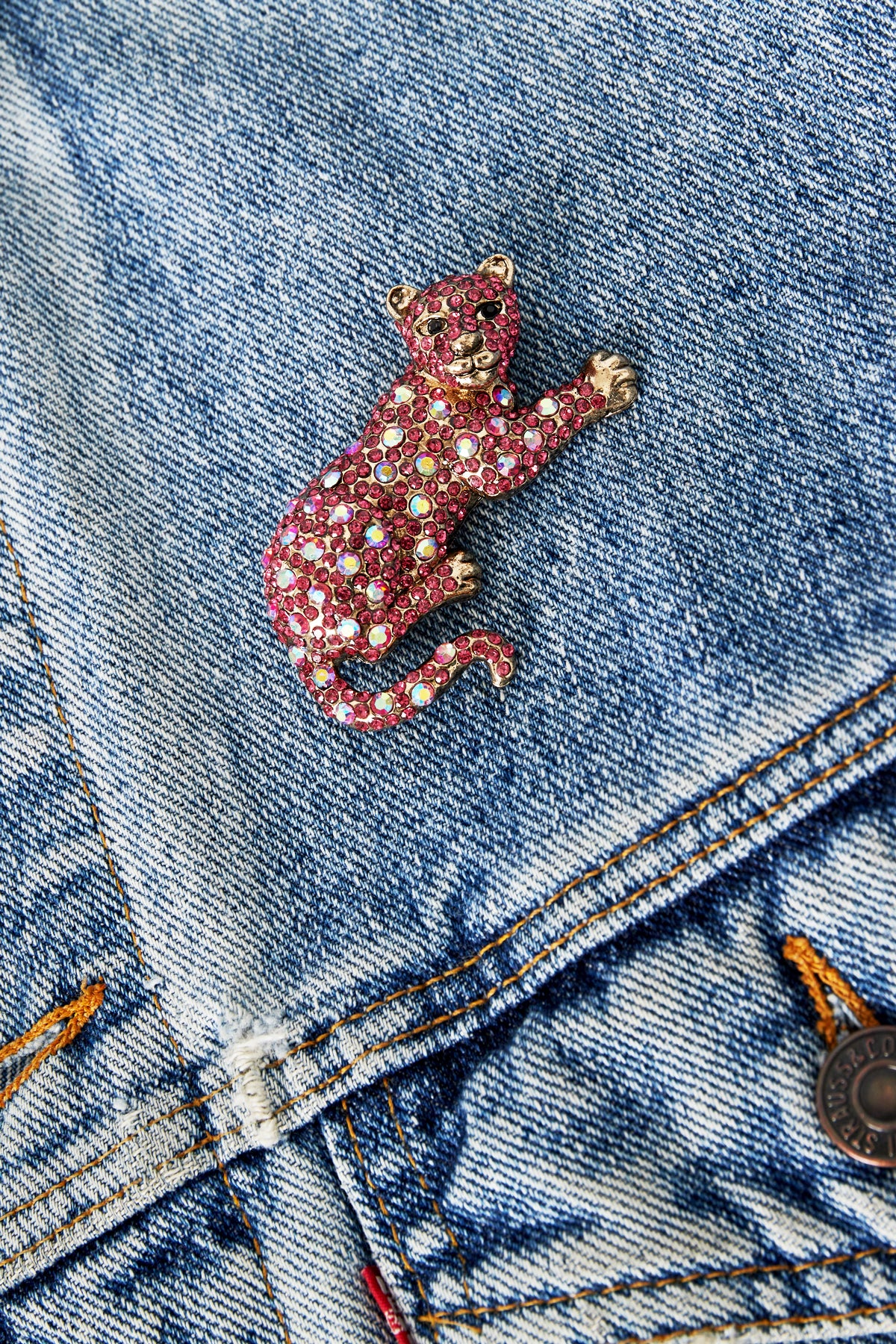 Luipaard Broche