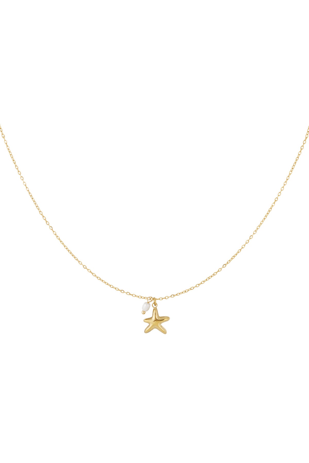 Zeester ketting
