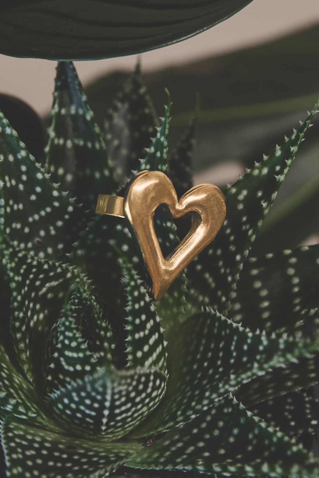 Gouden hart ring van stainless steel op een groene vetplant, ideaal als dagelijks sieraad.