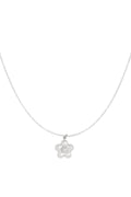 daisy ketting