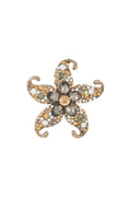 Starry Brooche