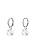 RVS oorbellen cirkel Zilver Stainless Steel