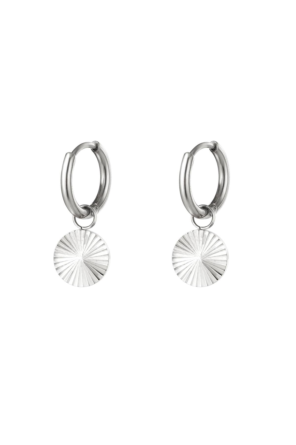 RVS oorbellen cirkel Zilver Stainless Steel