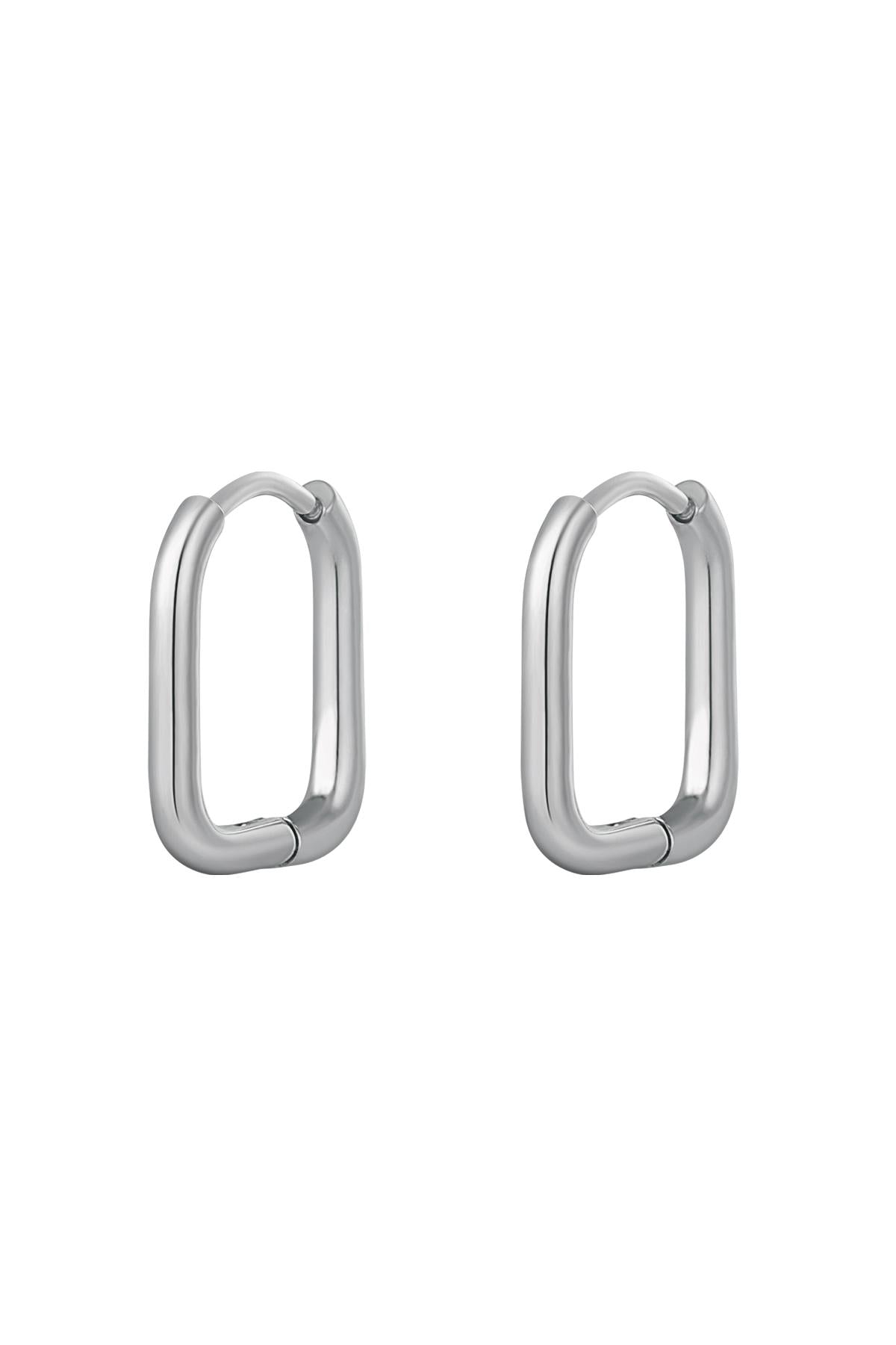 Oorbellen klassiek - large Zilver Stainless Steel