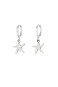 Stylish Drop Earrings in Silver & Gold
