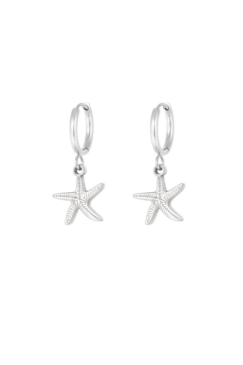 Stylish Drop Earrings in Silver & Gold
