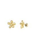 cute daisy flower oorbellen