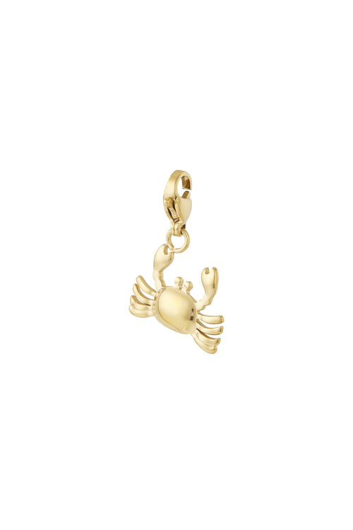 Krab sieraden bedel