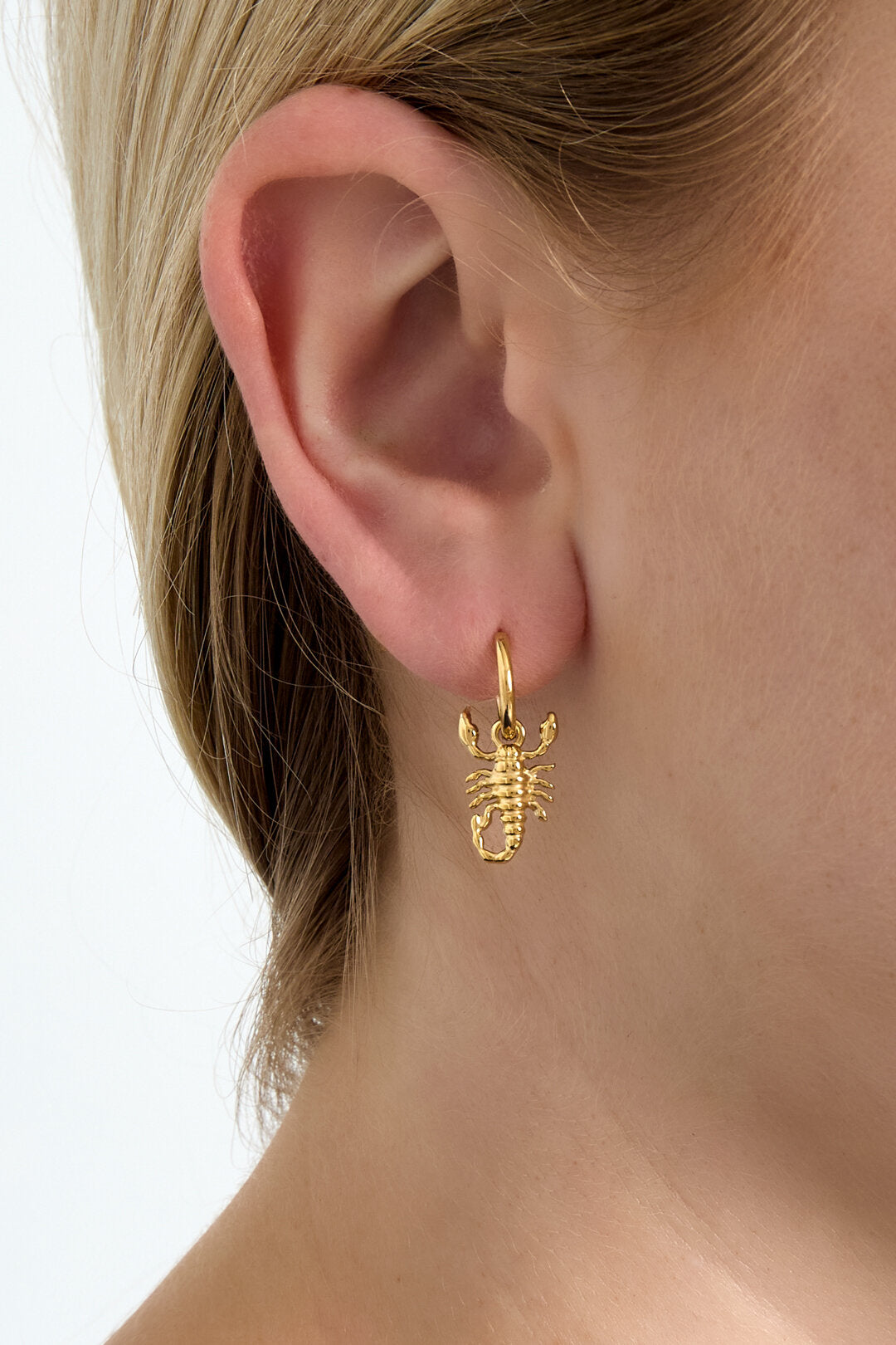 Scorpio Spirit oorbellen