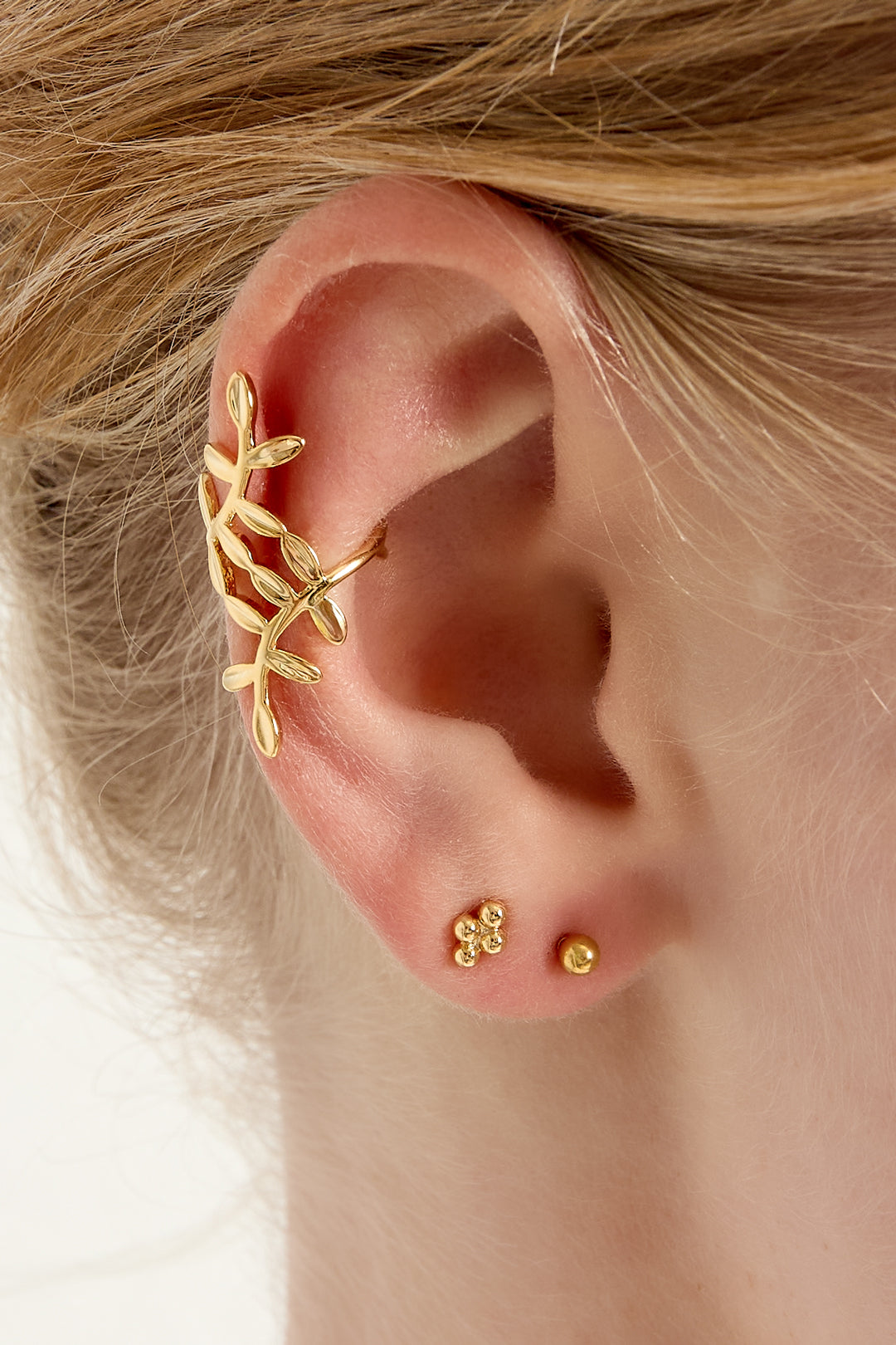 Ear cuff plant