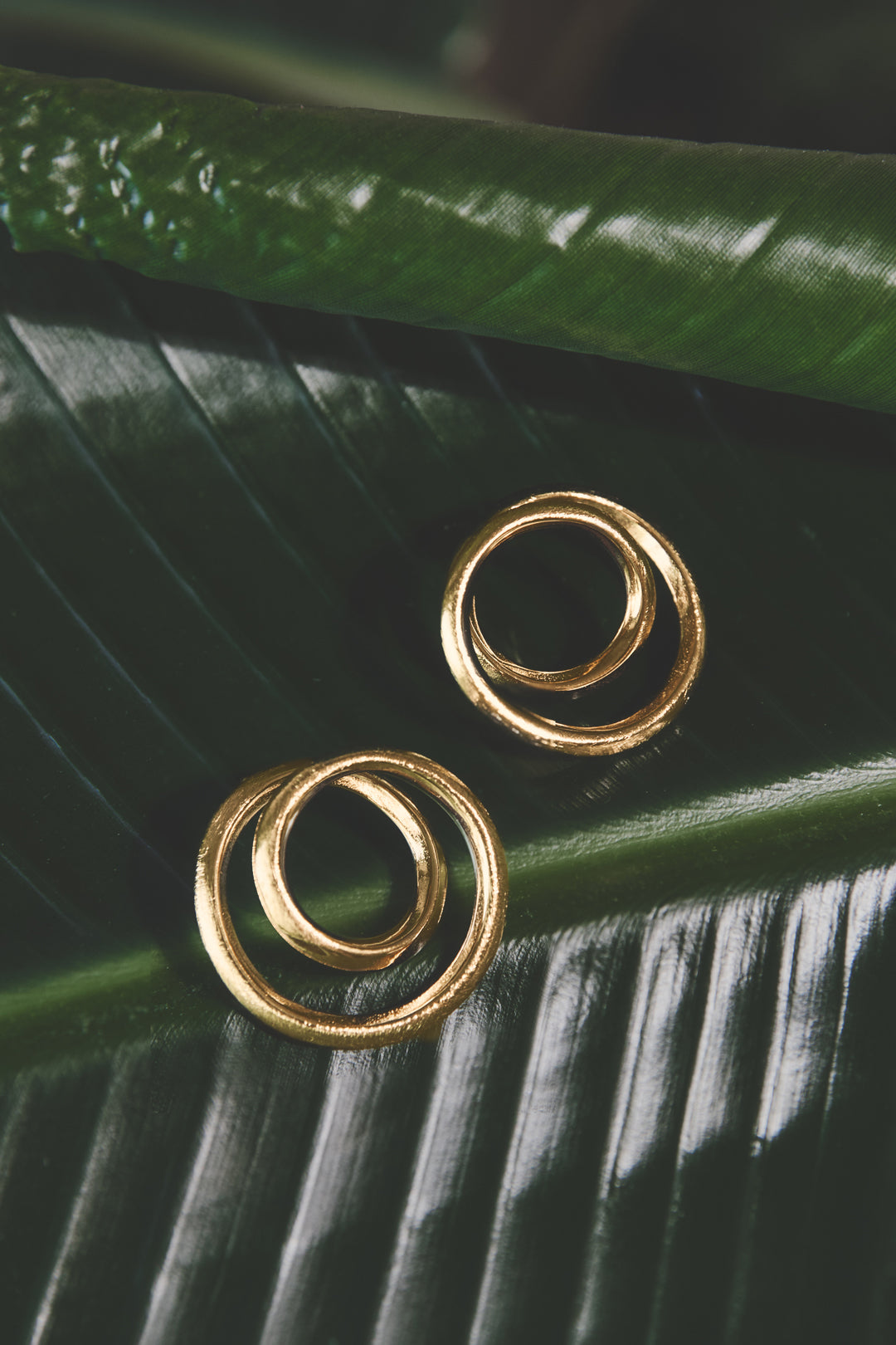 Lumé gouden roestvrijstalen cirkel oorbellen voor vrouwen, casual dagelijks draagbaar statement sieraad.