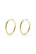 RVS oorbellen hoops klein Goud kleur Stainless Steel