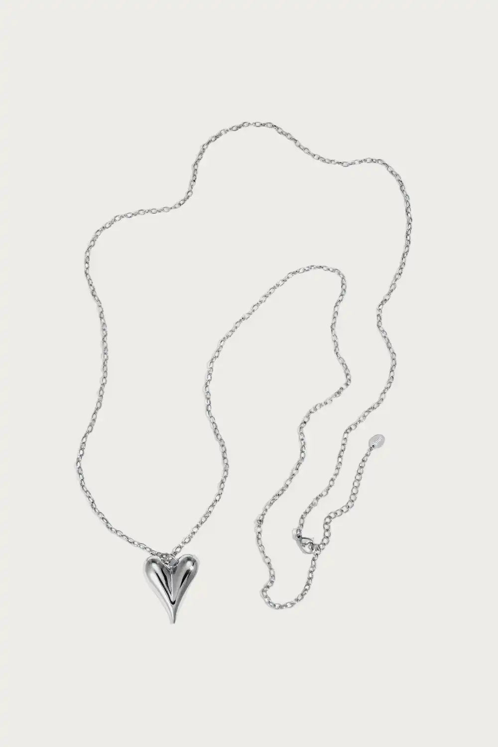 Zilveren Everlyn hartjesketting van roestvrij staal, met glanzende hart hanger en fijne ketting als sieraad.
