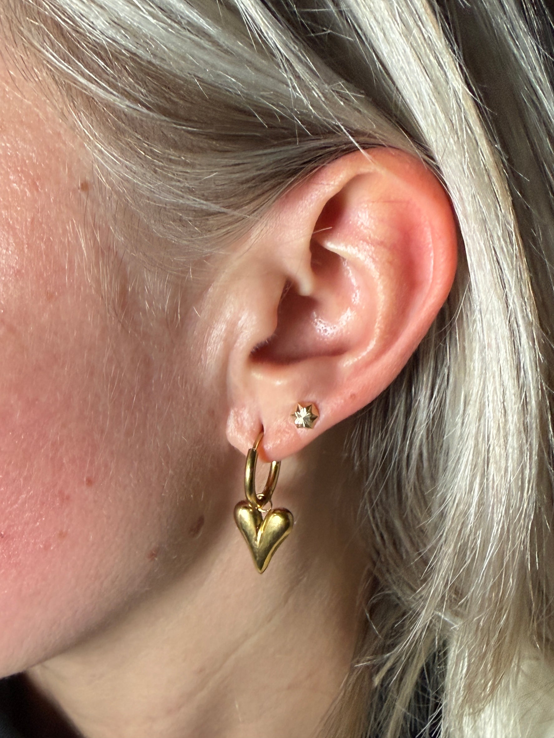 Heart Loops Earrings - Stainless Steel - Red