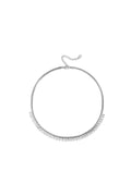 Ketting muntjes - Stainless Steel