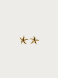 C-Shape Earrings - Stainless Steel