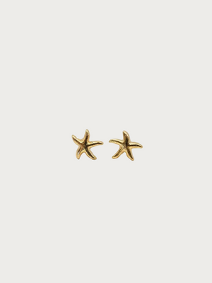 C-Shape Earrings - Stainless Steel